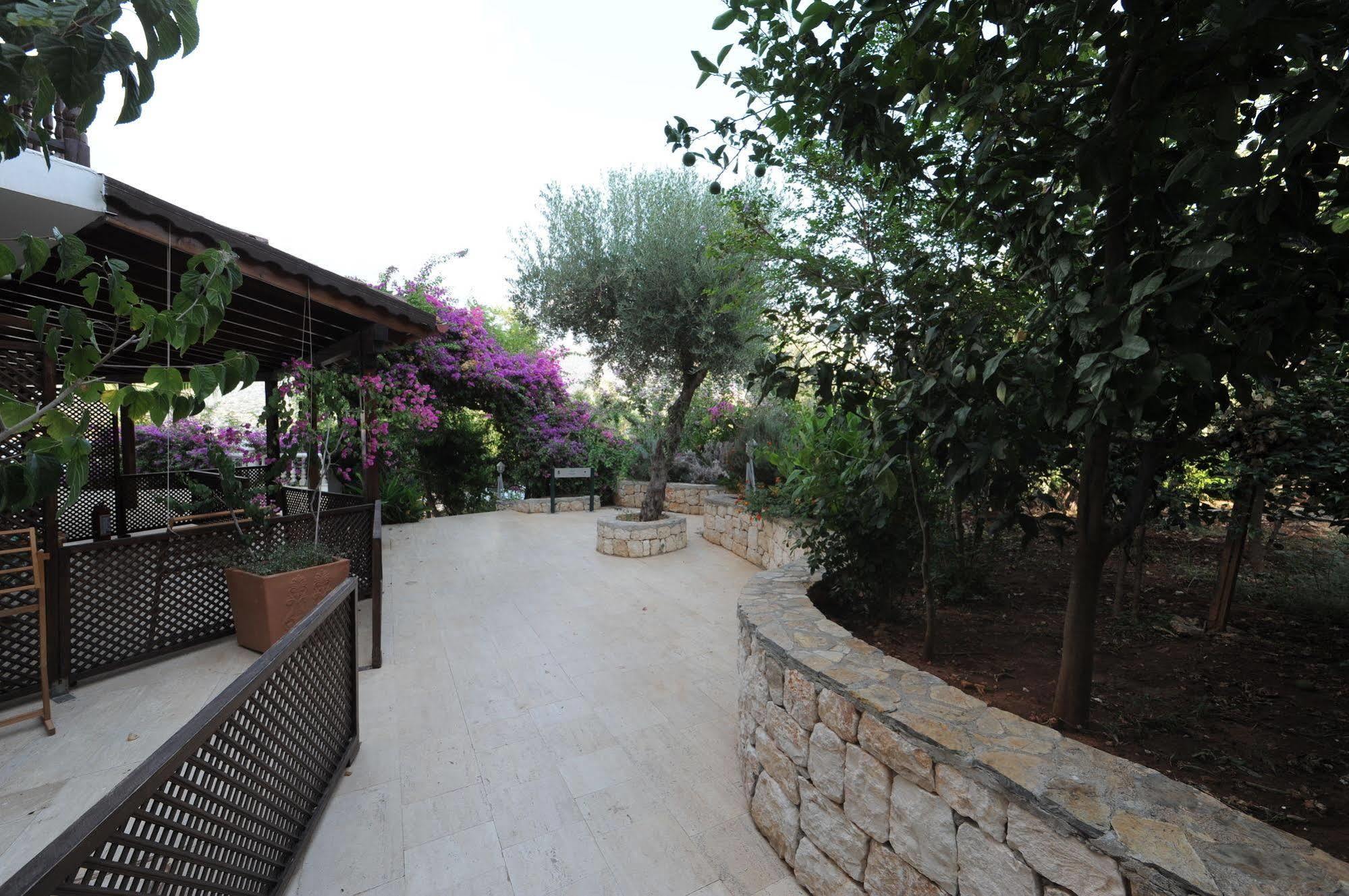 Club Hotel Barbarossa Kas Exterior foto